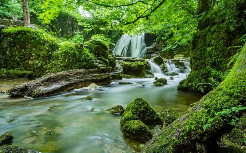 智能可靠性先进